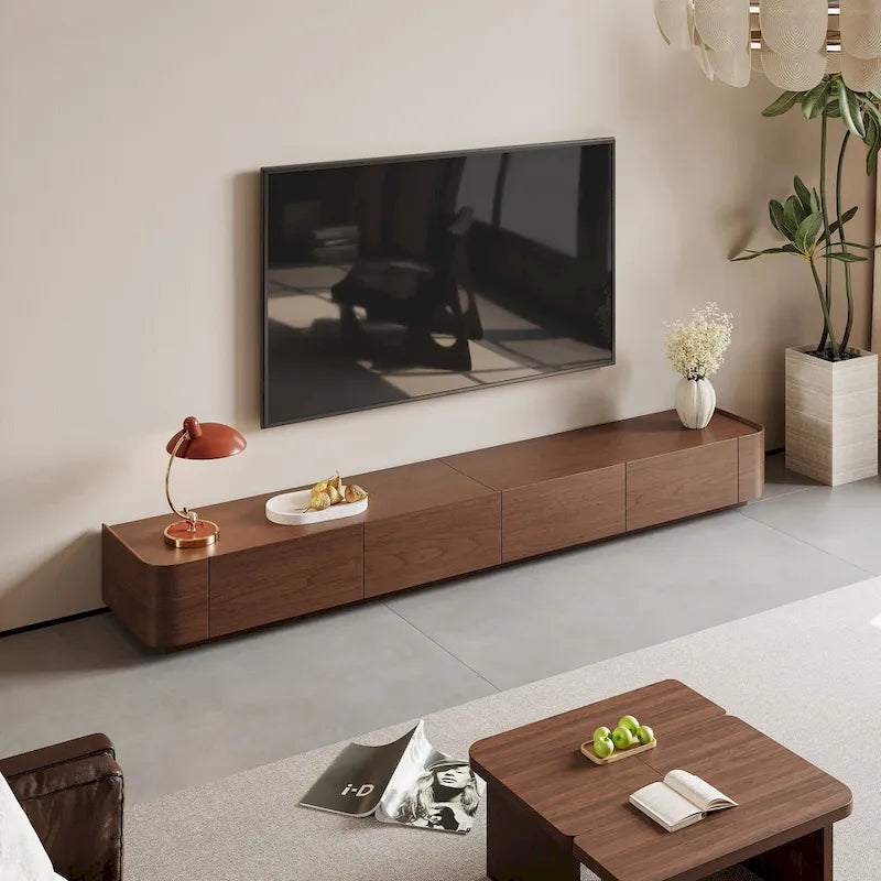 Meubles TV Modernes du Milieu du Siècle